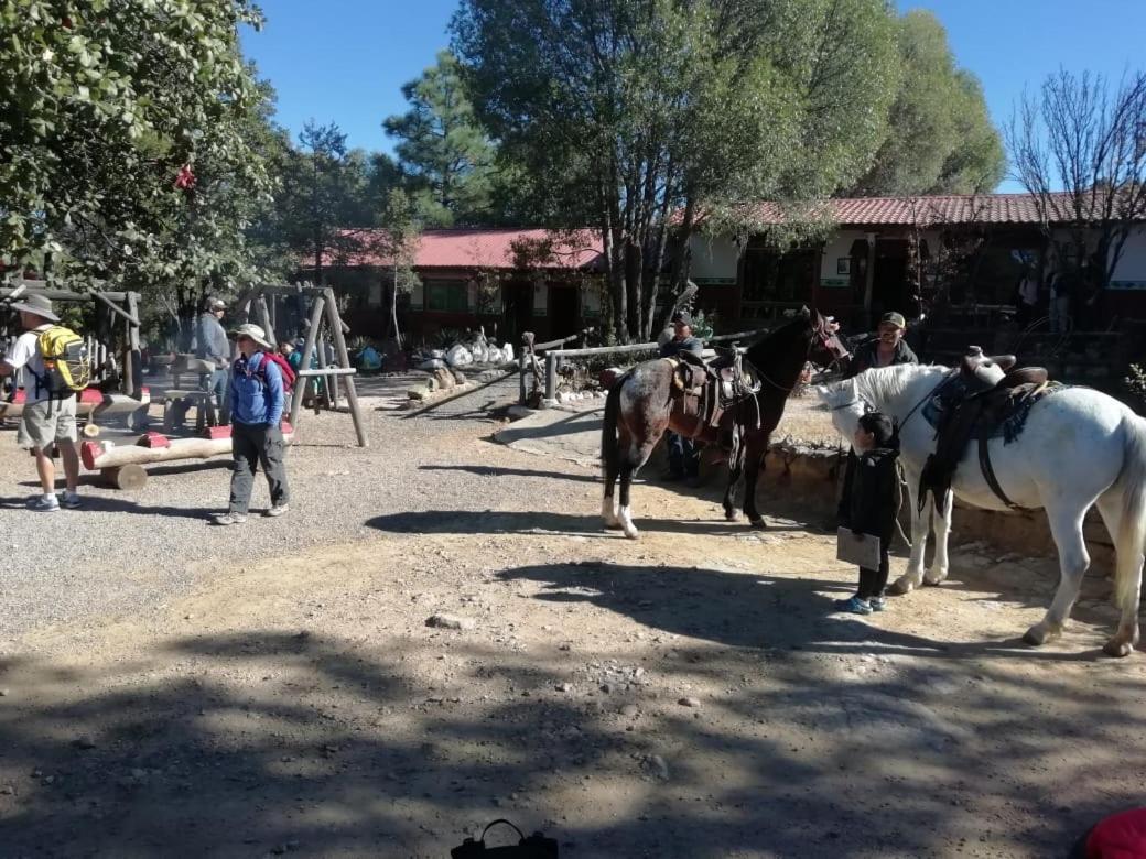 Rancho Cabanas San Isidro Cerocahui Exterior photo