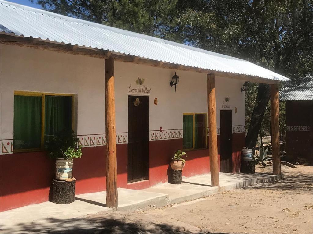 Rancho Cabanas San Isidro Cerocahui Exterior photo